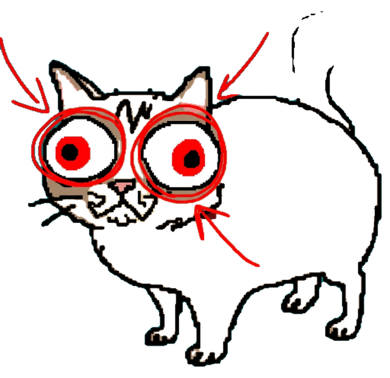 A crude drawing of a cat staring straight ahead, its huge eyes circled in red with red arrows pointing at them
